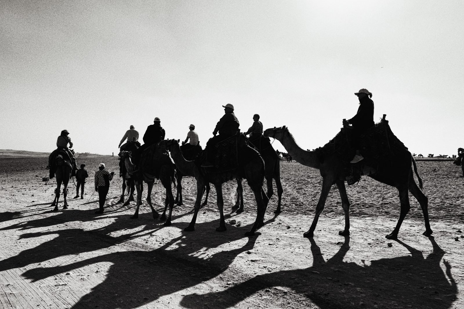 Desert Safari